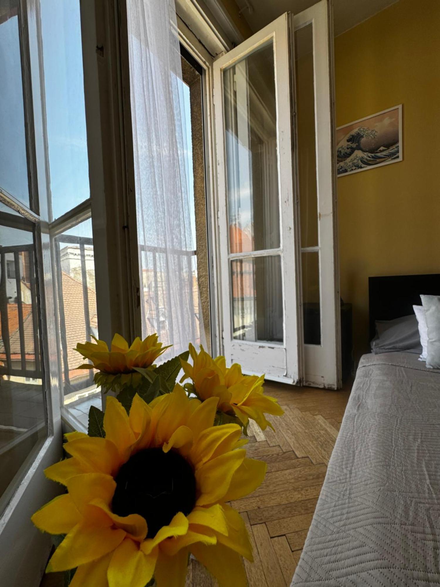 Extralarge Queen Room In The Heart Of Bratislava With Terrace Esterno foto