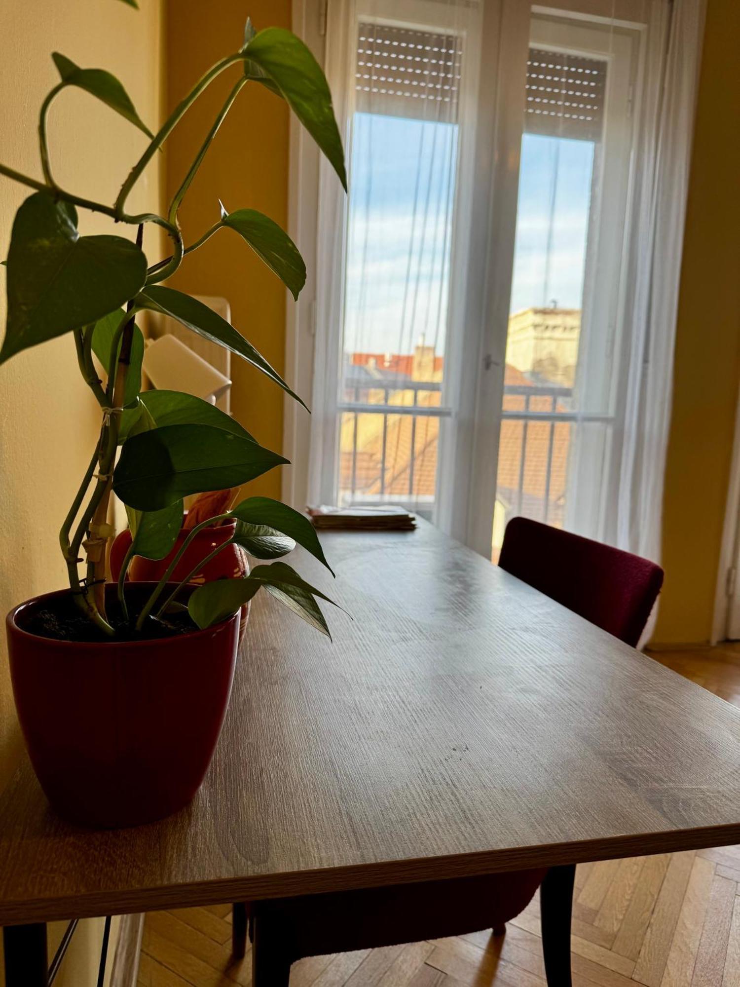 Extralarge Queen Room In The Heart Of Bratislava With Terrace Esterno foto